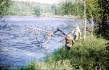 ПУ-79-36.jpg