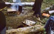 1981 Сыня- (19).jpg