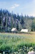 Кожим 1-46.jpg