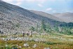Кожим 1-65.jpg