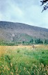 Кожим 1-68.jpg