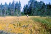 Охта-11.jpg