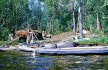 Охта-35.jpg