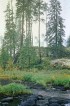 Охта-78.jpg