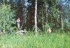 1986 Сыня-31.jpg
