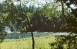 1986 Сыня-39.jpg