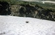 ПУ-80 (12).jpg