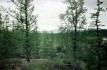 ПУ-80 (34).jpg